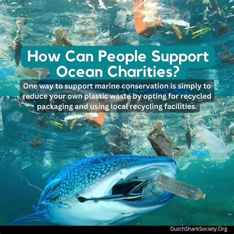 ocean charity organizations|About Us .
